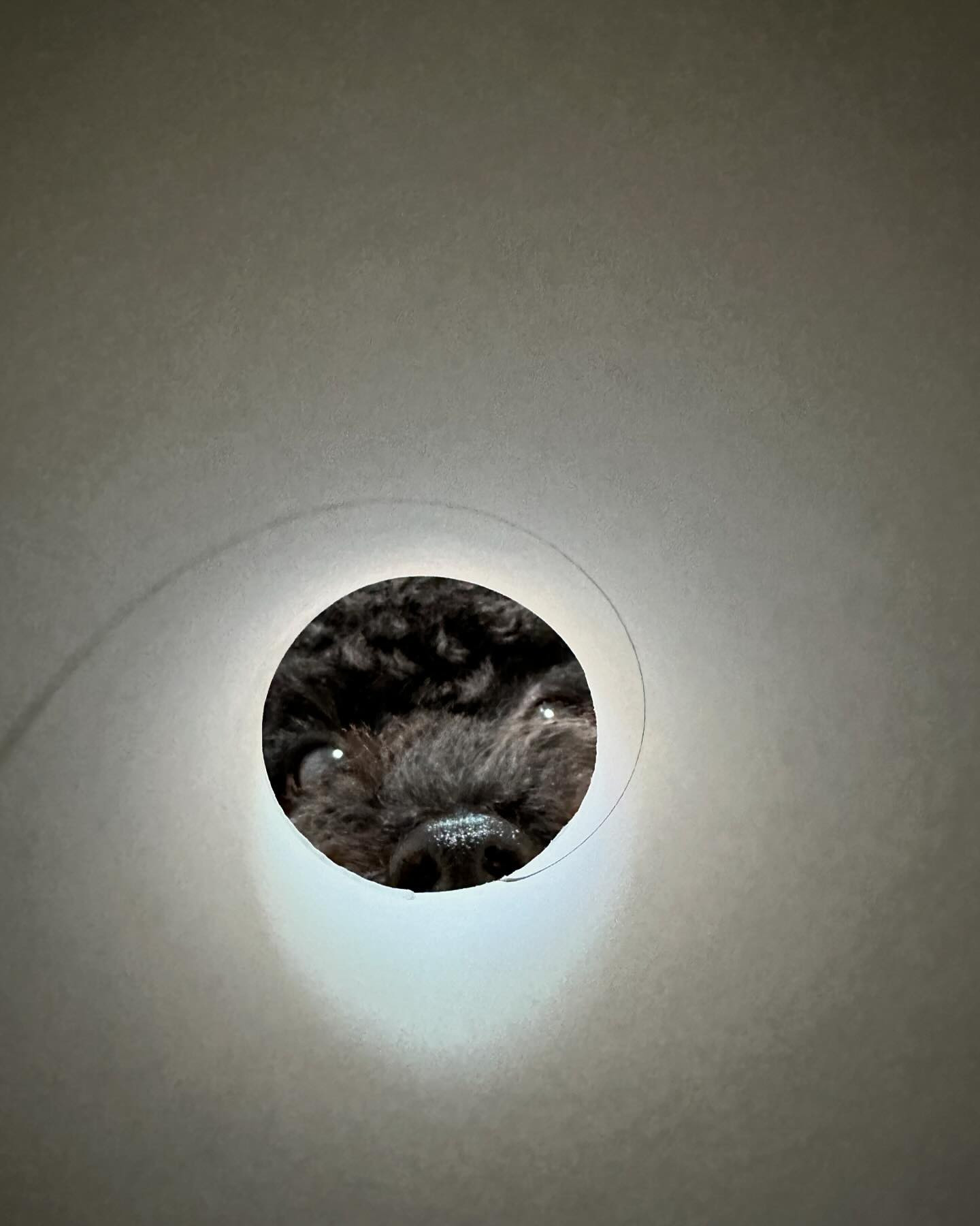 おはよ

club GATE 
札幌市中央区南6条西4丁目第21桂和ビル2階 
TEL:011-511-5222
 @gatesusukino

 #ススキノ#ニュークラ#ニュークラブ#ゲート#キャバクラ#キャバ嬢#すすきの#ほしのゆめ#北海道#札幌#北海道旅行#札幌旅行#日曜営業#日曜日も営業してます#いいね返し#SAPPORO#susukino#newclub#clubGATE#GATE#gatesusukino#🍻#🍾