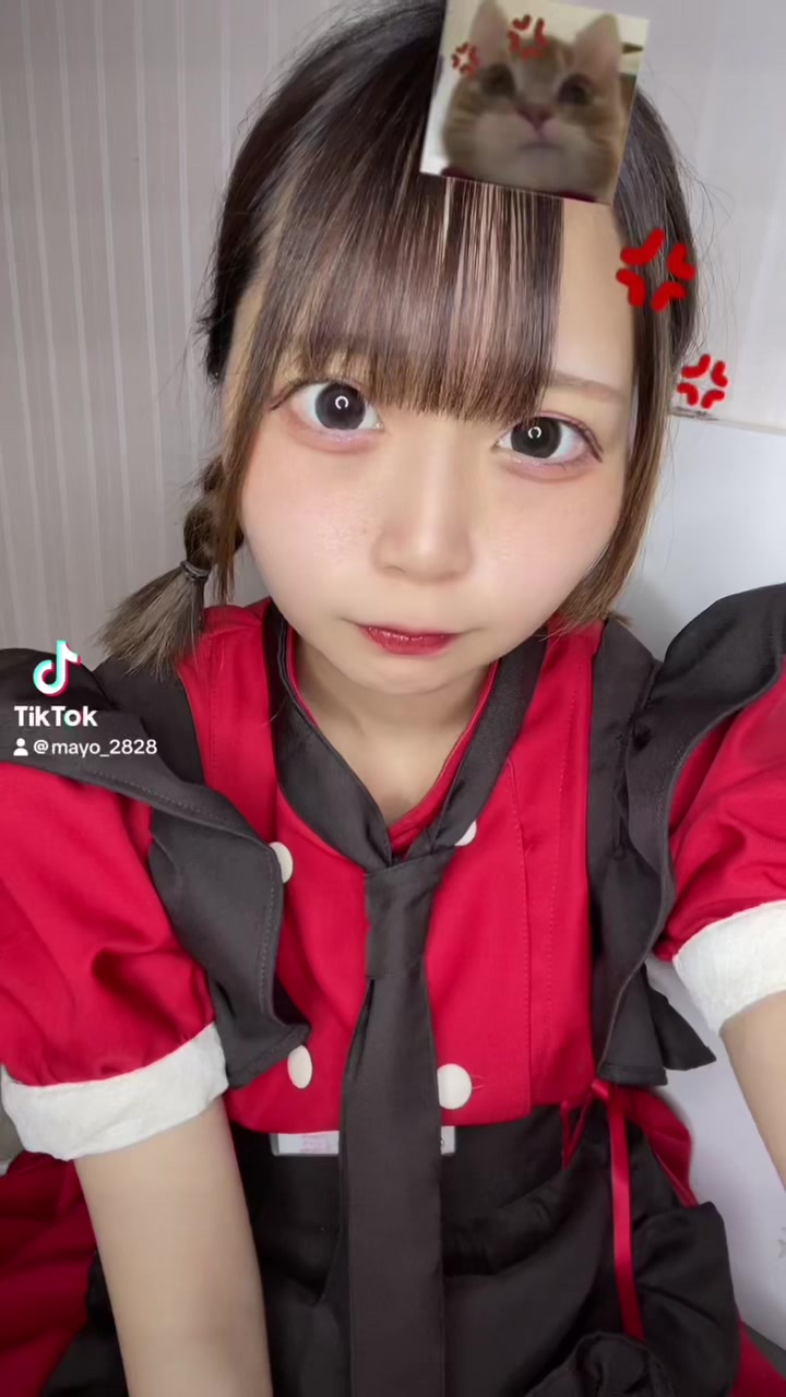 アニソンバーもふる 秋葉原2号店 ホットニュース 111464