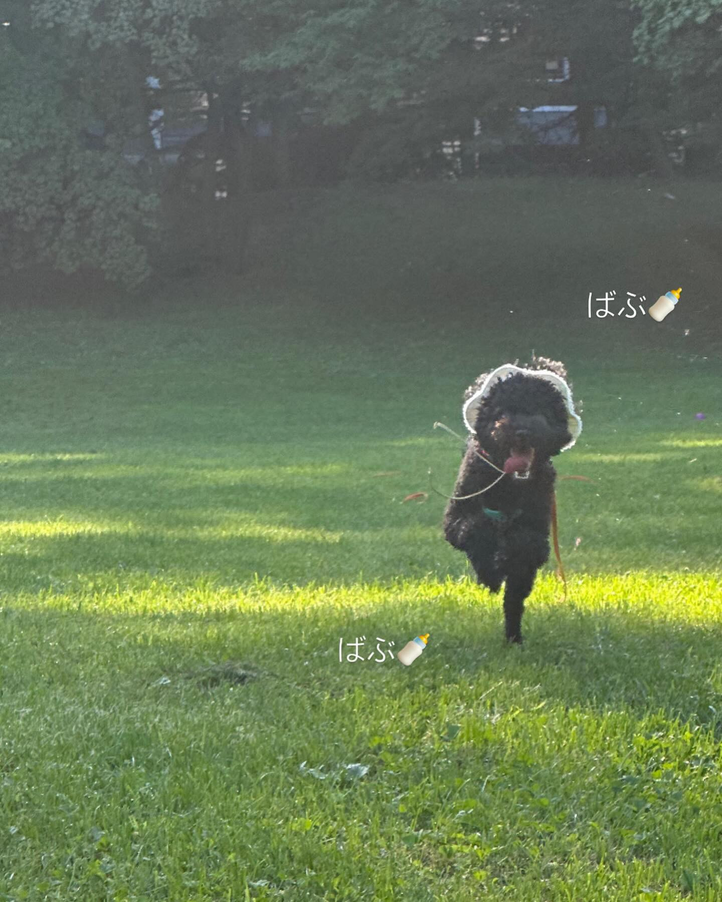 水曜日！

今日朝から少し雨だったね🥲

午後から天気なったけど

日が暮れるの早くなったね🌙

夏終わったのかぁー

さみしい

club GATE 
札幌市中央区南6条西4丁目第21桂和ビル2階 
TEL:011-511-5222 
@gatesusukino

 #ススキノ#ニュークラ#ニュークラブ#ゲート#キャバクラ#キャバ嬢#すすきの#ほしのゆめ#北海道#札幌#北海道旅行#札幌旅行#日曜営業#日曜日も営業してます#いいね返し#SAPPORO#susukino#newclub#clubGATE#G