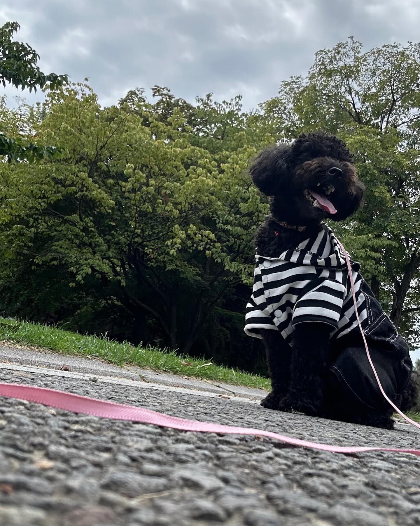 暑いのよ

だいぶ涼しくなったけども☀️

club GATE 
札幌市中央区南6条西4丁目第21桂和ビル2階 
TEL:011-511-5222
 @gatesusukino

 #ススキノ#ニュークラ#ニュークラブ#ゲート#キャバクラ#キャバ嬢#すすきの#ほしのゆめ#北海道#札幌#北海道旅行#札幌旅行#日曜営業#日曜日も営業してます#いいね返し#犬のいる暮らし#SAPPORO#susukino#newclub#clubGATE#GATE#gatesusukino#🍻#🍾