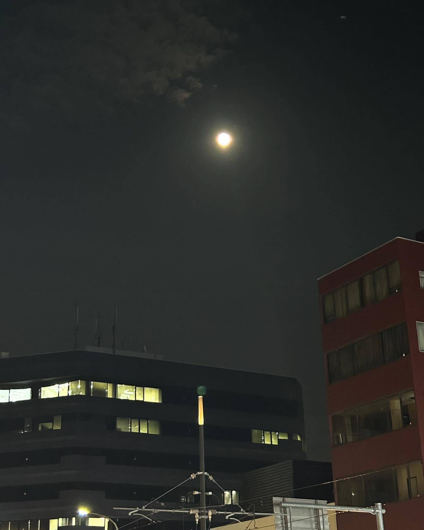 YOASOBI EAST ホットニュース 114307