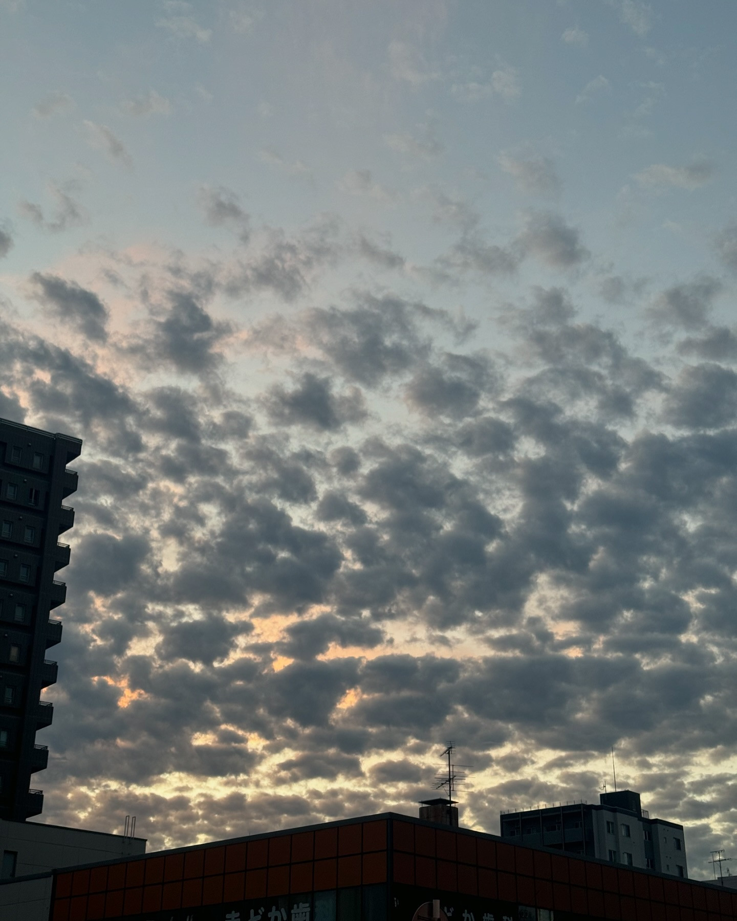 .
.
.

いつも午前中とかに行ってたから
人沢山の中で参拝するのが基本だったけど
美容室終わってから行ったら
社務所の営業時間終わってるから
ほぼ居なくて静かに参拝できた⛩

エモい写真も撮れて
挨拶もできて
とてもいい休日だった！！

8月充実してました！9月も充実させます！
関わってくださる皆様に感謝🥲🧡

今月も沢山仲良くしてください🙌

.
.

一笑  はる
@hrcn_overloungeclub

• ────── ✾ ────── •
OVER LOUNGE CLUB
@overlou