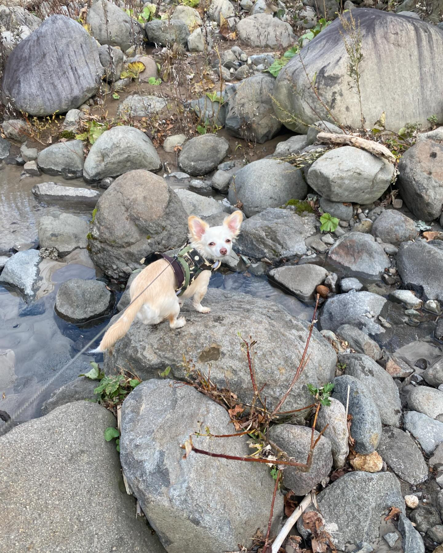 お休みを満喫しました😌🌕
特に趣味がある訳ではありませんが、自然や、キャンプ、湖、川、海が好き🏕️🚢
旅行、温泉大好き✈️♨️
海外にはしばらく行ってないけど、知らない土地に行くと新鮮で好きだな〜😆
日本でもまだまだ行ってみたい所たくさーん☺️

今日明日仕事頑張ります🍻

@clubgalle2580 
#club我礼#すすきの#りょこうだいすき