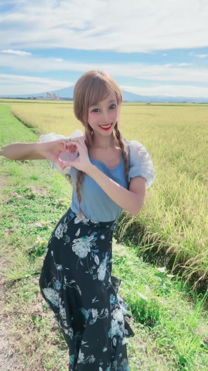 #コレサワ #青森 #田んぼ 後ろは岩木山⛰収穫間近の稲たちと🌾