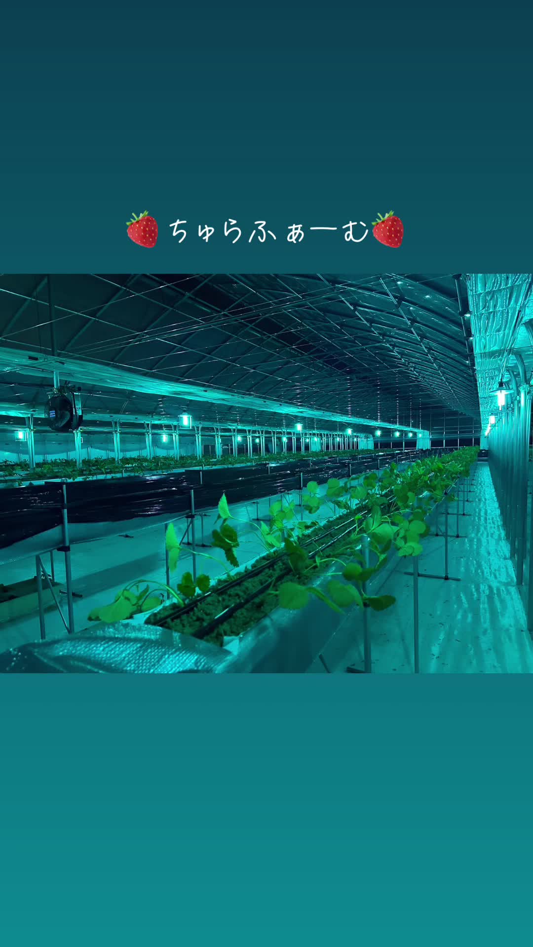 Bar ORION ホットニュース 116199