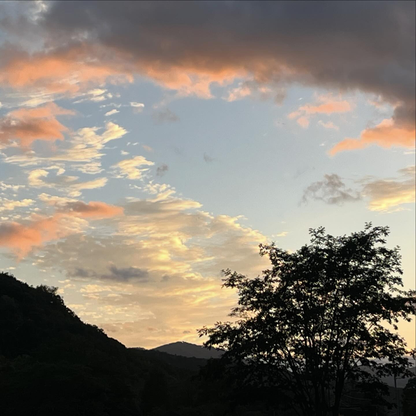 急に寒くなりましたね💨
今年のキャンプはもう終わり〜🏕️
虫は嫌いだけど、自然ってやっぱり良いですよねぇ〜星空も🌌焚き火も🔥

今日出勤です🤗

@clubgalle2580 
#club我礼#すすきの#星空キャンプ