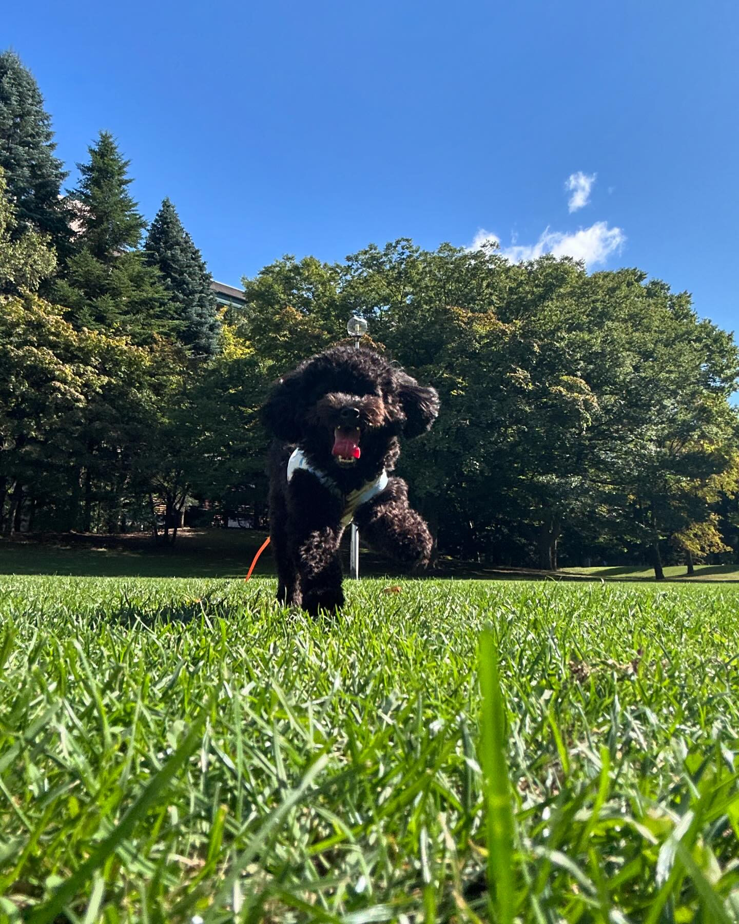 おはだよ☀️
秋晴れ多くてわんころの散歩日和がおおい🫶🏻
今日通雨みたいなの降ってたね☔️
急いで窓閉めた🤭

club GATE 
札幌市中央区南6条西4丁目第21桂和ビル2階 
TEL:011-511-5222 
@gatesusukino 

#ススキノ#ニュークラ#ニュークラブ#ゲート#キャバクラ#キャバ嬢#すすきの#ほしのゆめ#北海道#札幌#北海道旅行#札幌旅行#日曜営業#日曜日も営業してます#いいね返し#SAPPORO#susukino#newclub#clubGATE#GATE#gatesu