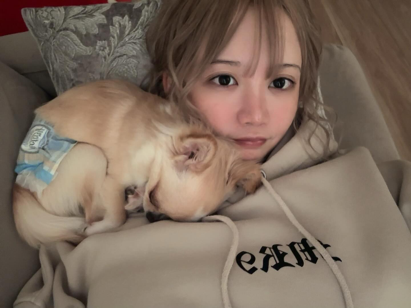 いつかのせなぴんちのソファーで寝てた時😌
オムツマンスヤァー( ˘ω˘ )ｽﾔｧ…
いつもくっつき虫ぴのち🐶
 
 #オレンジテラス #オレンジテラス歌舞伎町 #歌舞伎町 #歌舞伎町キャバクラ #キャバ嬢 #キャバクラ #チワワ部  #チワワのいる暮らし