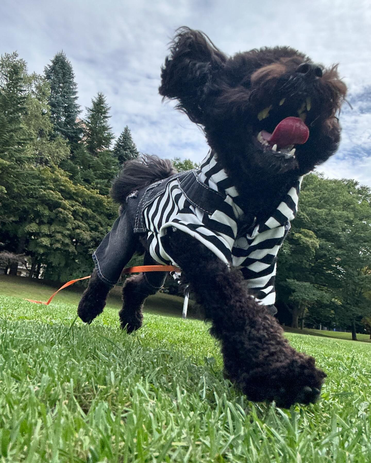 2024年10月6日

昨日泥酔しすぎて迷惑かけた方、すみませんでした。

club GATE
 札幌市中央区南6条西4丁目第21桂和ビル2階 
TEL:011-511-5222 
@gatesusukino

 #ススキノ#ニュークラ#ニュークラブ#ゲート#キャバクラ#キャバ嬢#すすきの#ほしのゆめ#北海道#札幌#北海道旅行#札幌旅行#日曜営業#日曜日も営業してます#いいね返し#SAPPORO#susukino#newclub#clubGATE#GATE#gatesusukino#🍻#🍾