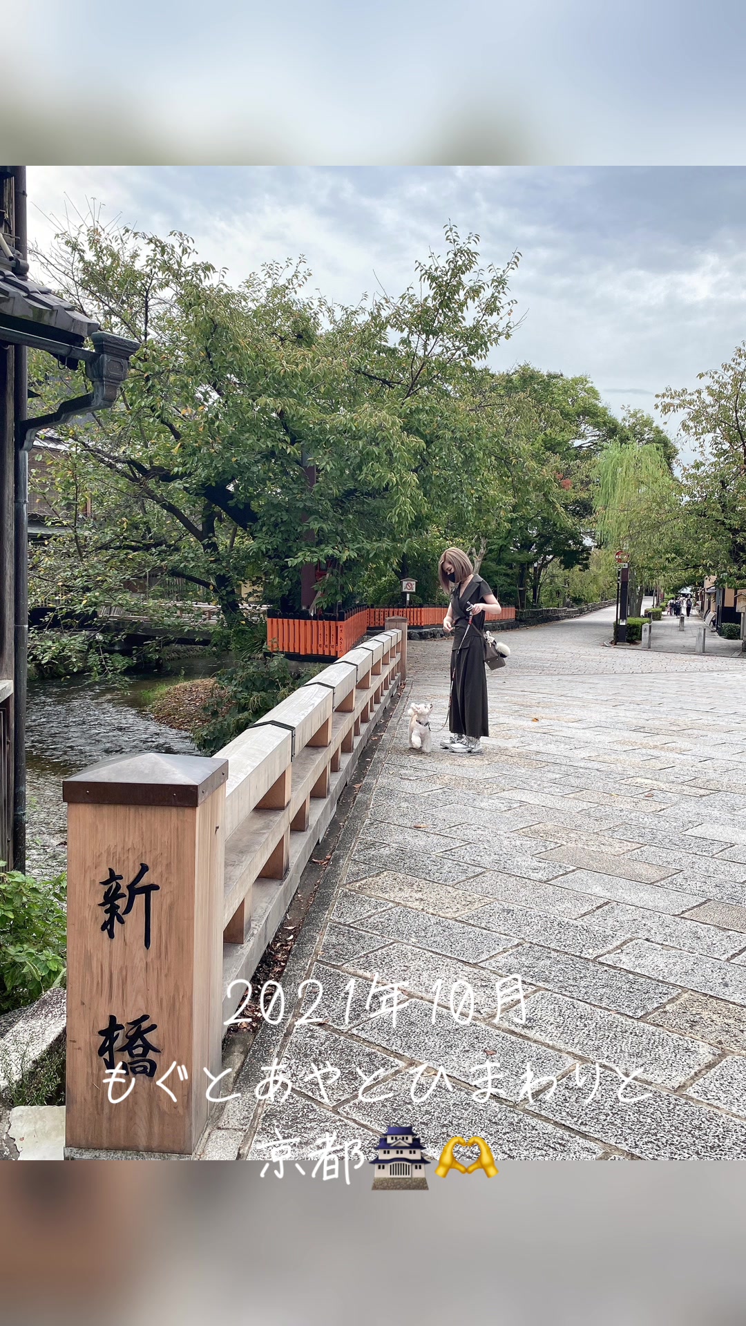 2021年10月 もぐとあやとひまわりと京都旅🌻 載せたことある写真も数枚あるけど許してねっ #京都　#女子旅　#犬旅