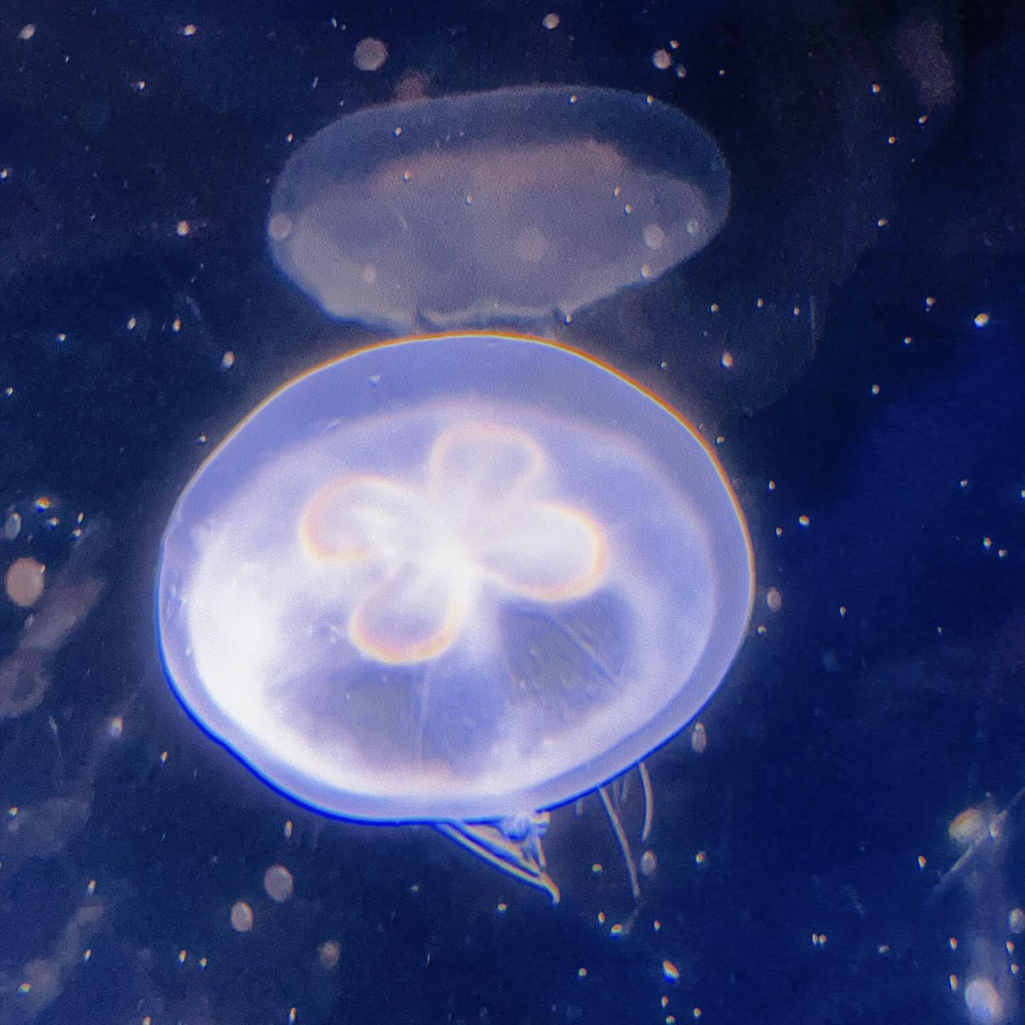 倶楽部 綺麗離日記1189528