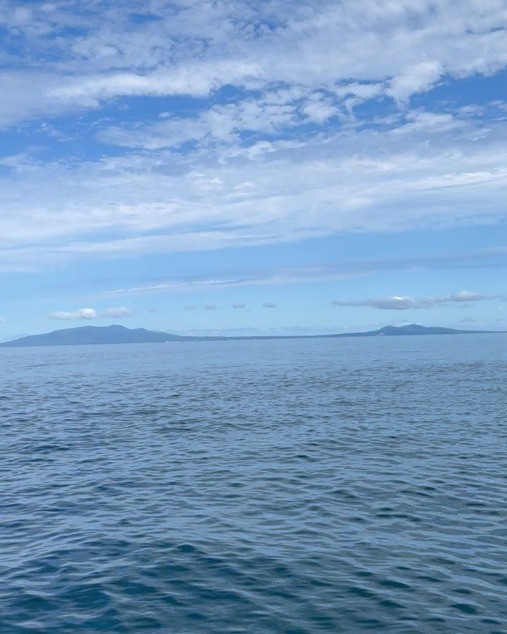 誕生月を終え久しぶりに2泊3日帰省してきました🏠実家の船で釣りをして釣った魚を食べてゆっくーり過ごしてきた🌊𓈒𓂂𓏸私が釣ったのは鯖のみ、、🐟
釣りよりも船に乗ってるのが楽しすぎた⚓️😂

#釣り #休日 #マリーナ #帰省 #愛猫 #猫ラブ #秋田市 #海
#晴天 #手作り寿司 #実家ご飯