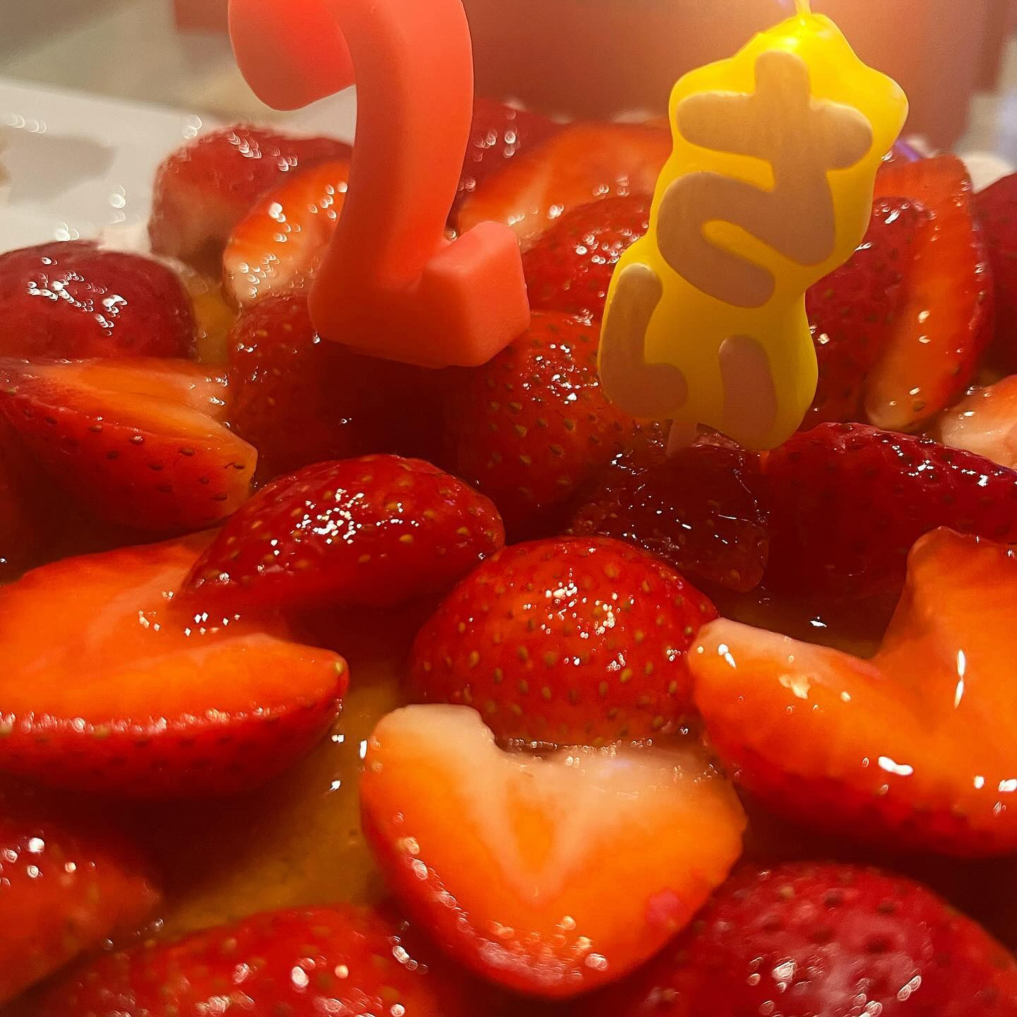 club Le Pin日記1190980