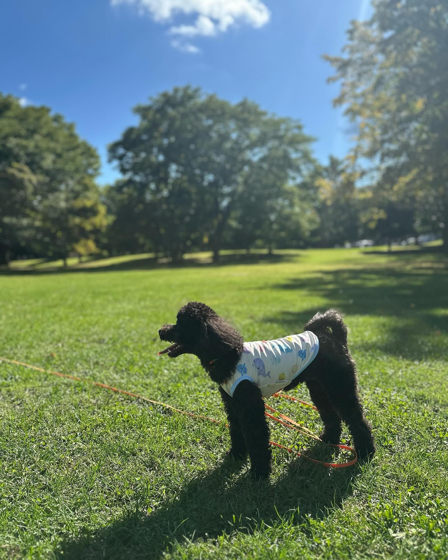 2024年10月8日

毎日幸せ❤️‍🔥

club GATE 
札幌市中央区南6条西4丁目第21桂和ビル2階 
TEL:011-511-5222
 @gatesusukino

 #ススキノ#ニュークラ#ニュークラブ#ゲート#キャバクラ#キャバ嬢#すすきの#ほしのゆめ#北海道#札幌#北海道旅行#札幌旅行#日曜営業#日曜日も営業してます#いいね返し#SAPPORO#susukino#newclub#clubGATE#GATE#gatesusukino#🍻#🍾