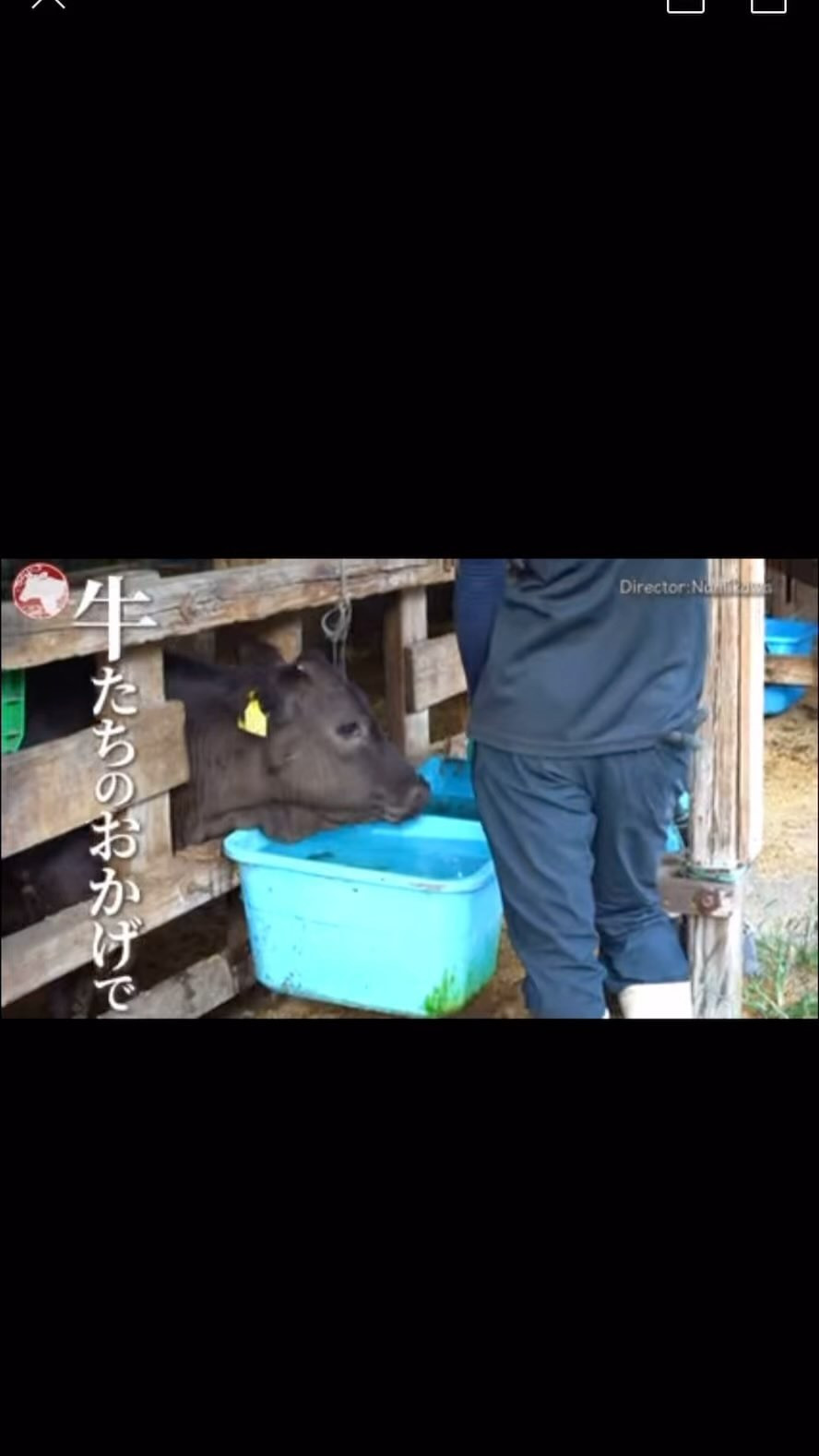 YOASOBI EAST ホットニュース 120922