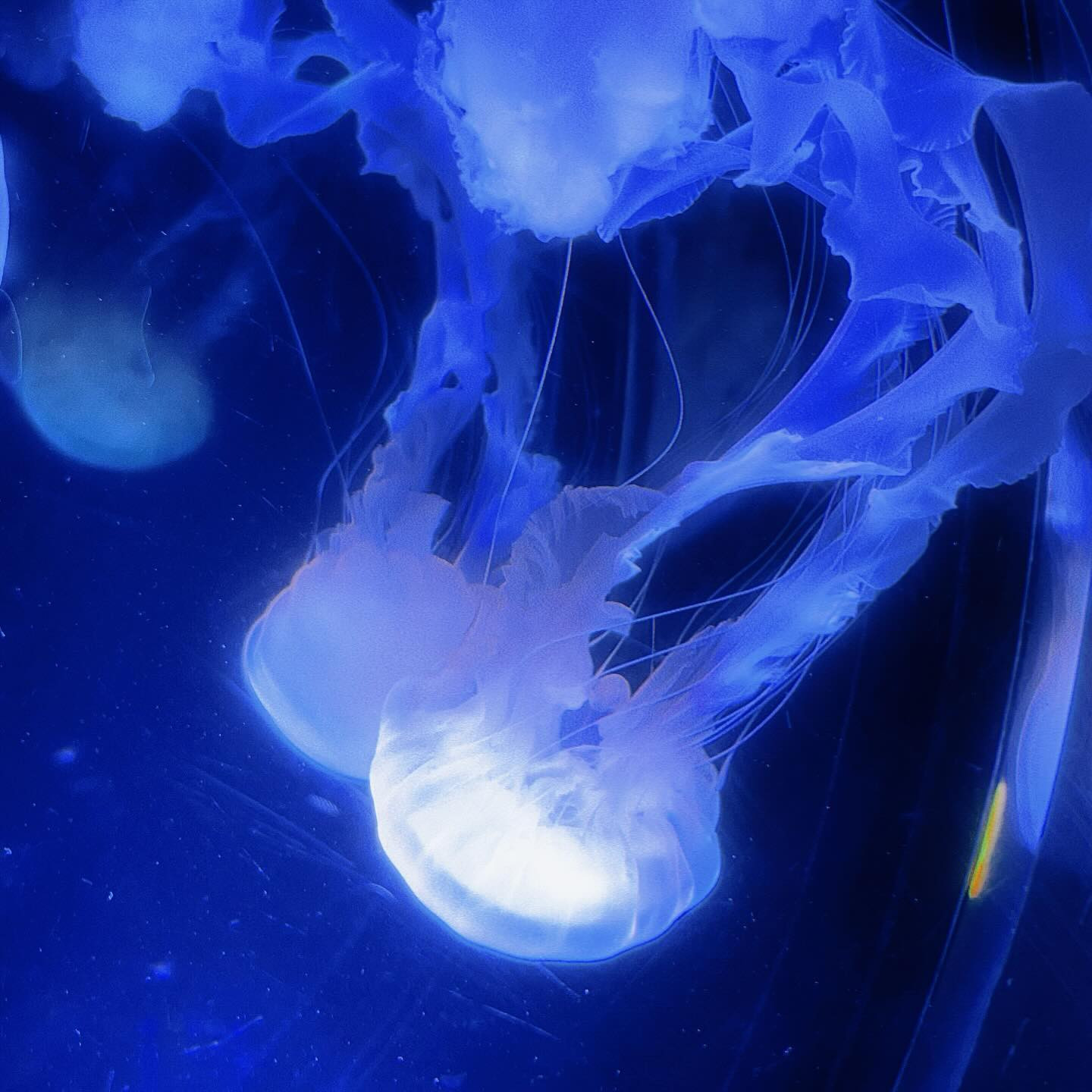 倶楽部 綺麗離日記1194140