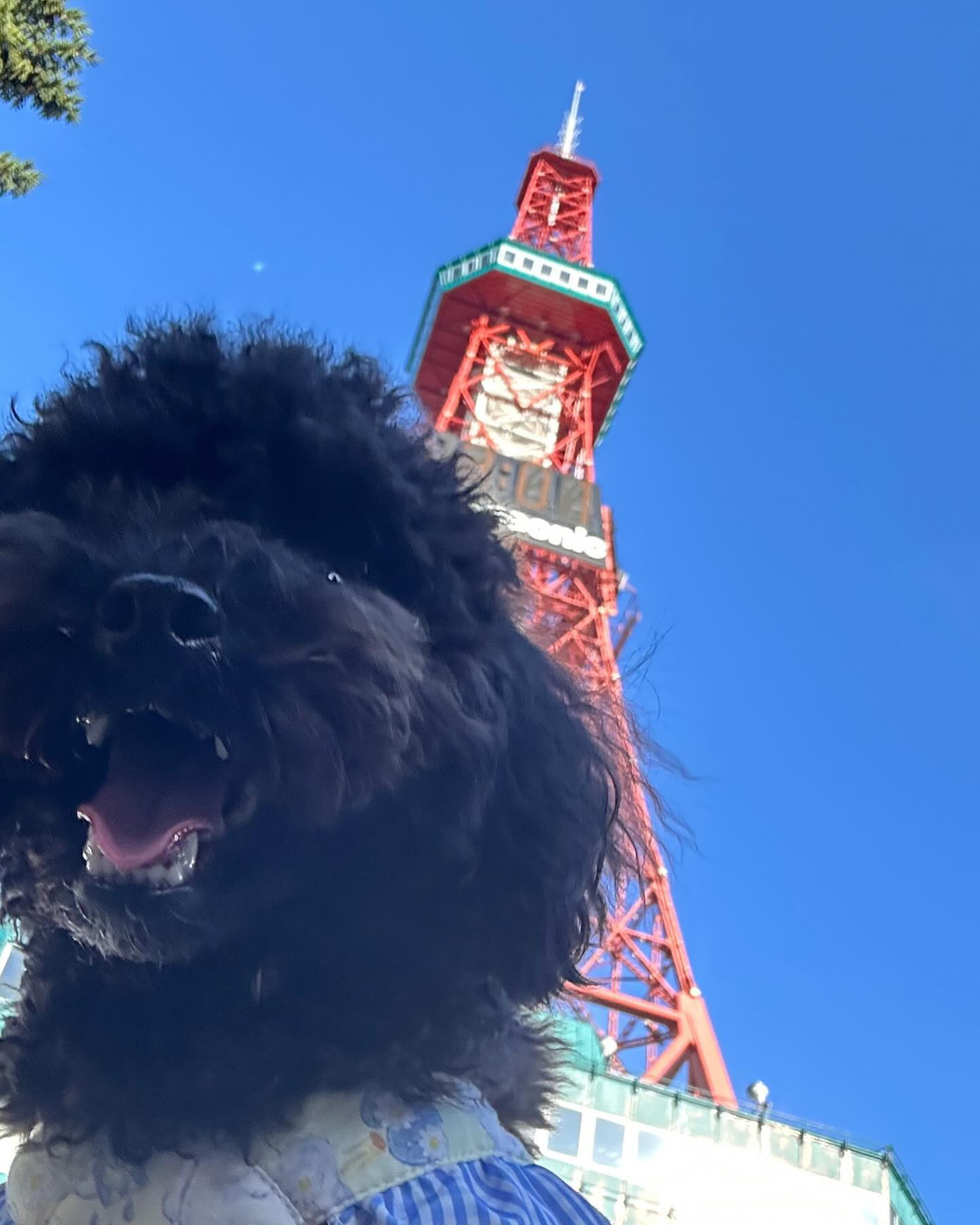2024年10月14日🗼

初めて歩いてテレビ塔行ってみた✌🏻

ニコニコ☺️

今日は永遠にいぬころと歩いてた🐶

club GATE
 札幌市中央区南6条西4丁目第21桂和ビル2階 
TEL:011-511-5222
 @gatesusukino

 #ススキノ#ニュークラ#ニュークラブ#ゲート#キャバクラ#キャバ嬢#すすきの#ほしのゆめ#北海道#札幌#北海道旅行#札幌旅行#テレビ塔#日曜営業#日曜日も営業してます#いいね返し#SAPPORO#susukino#newclub#clubGATE#GAT