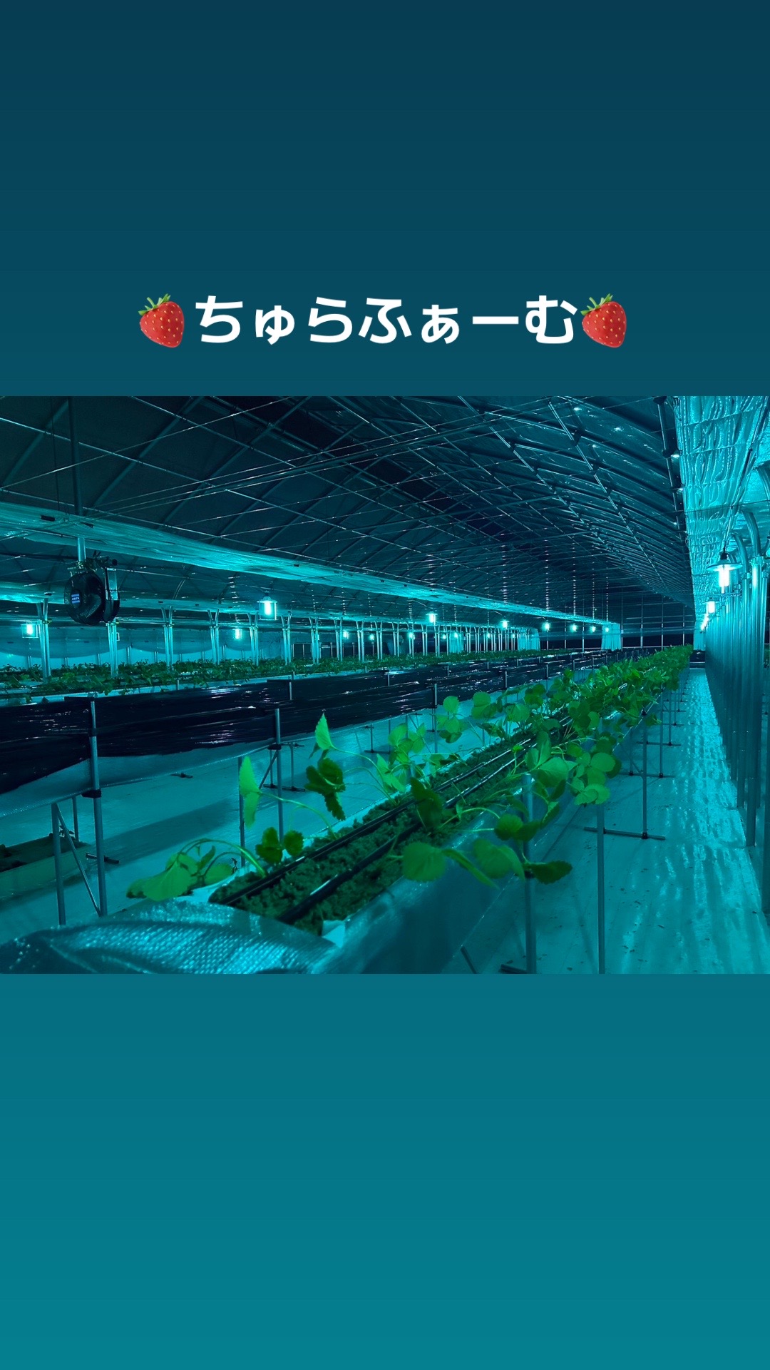 Bar ORION ホットニュース 122432