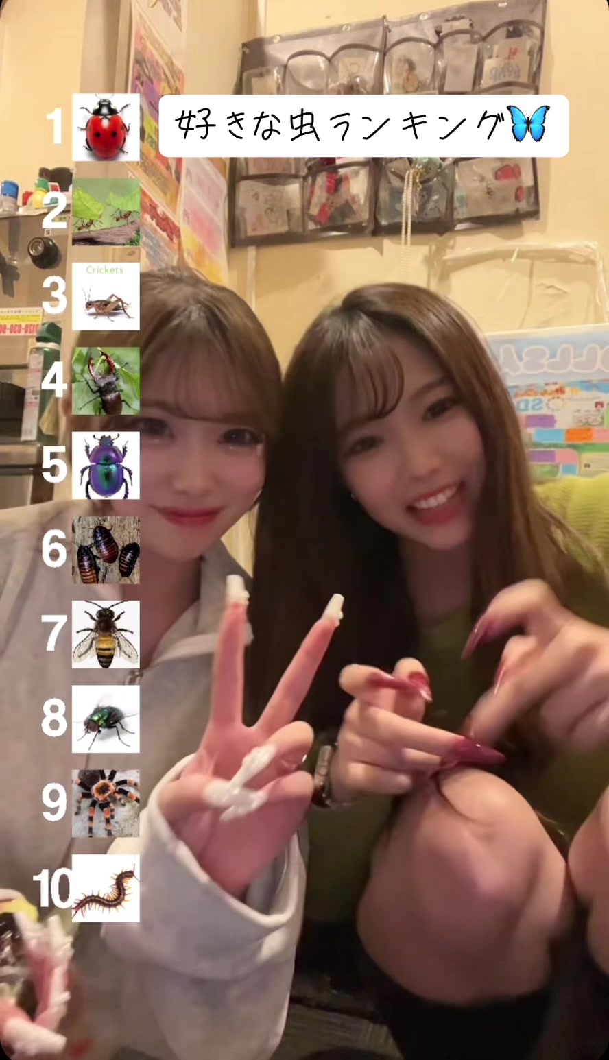 Cafe＆Bar Doll's Cafe ホットニュース 122645