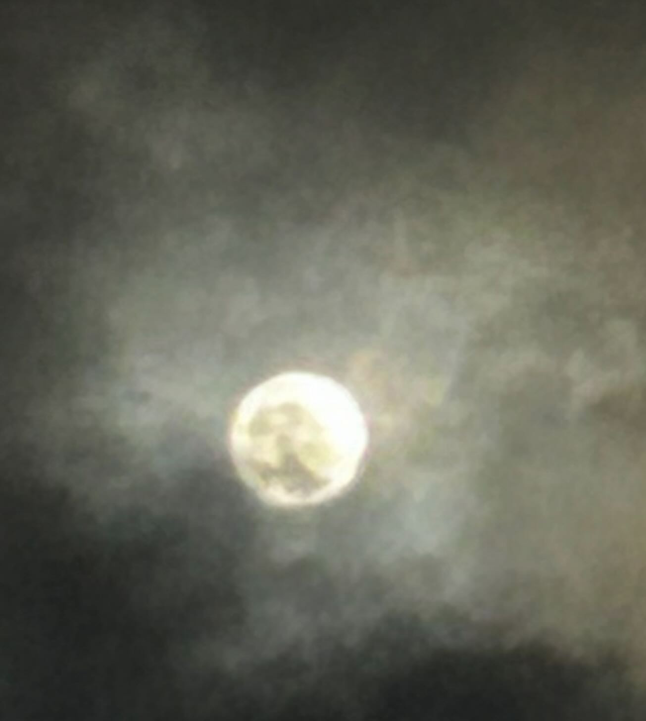 YOASOBI EAST ホットニュース 122856