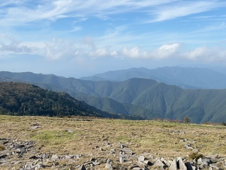 RIO SHIMBASHI日記1199181