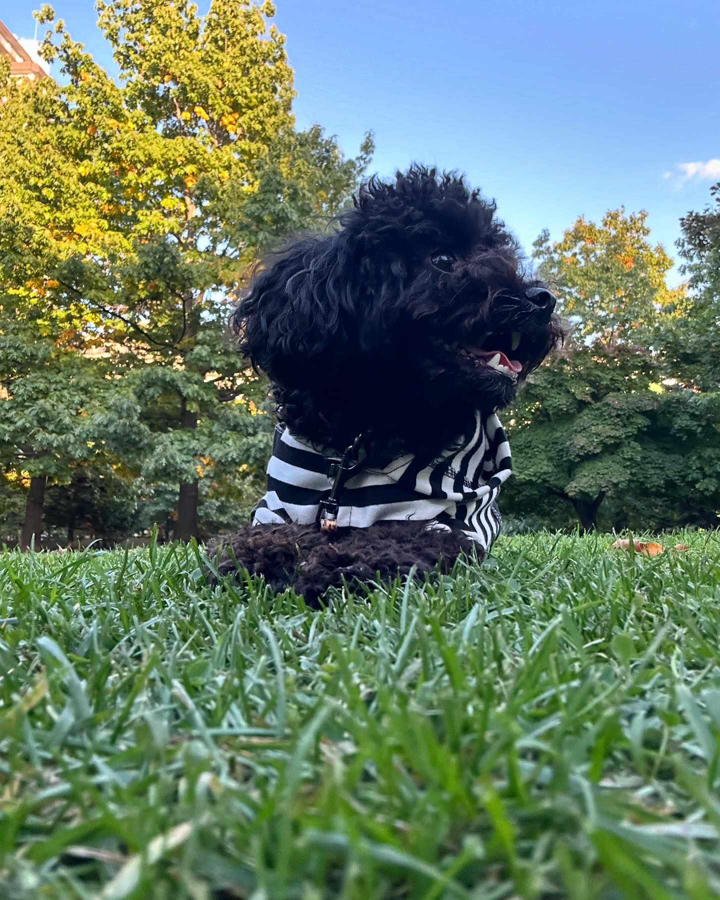 🩵2024年10月18日🩵

わんころ、お腹ゆるゆる🐶

明日病院かなー😣

今日も出勤してるよ！

きんようび！！！！

なんか少しあったかいね🍂

club GATE 
札幌市中央区南6条西4丁目第21桂和ビル2階 
TEL:011-511-5222
 @gatesusukino

 #ススキノ#ニュークラ#ニュークラブ#ゲート#キャバクラ#キャバ嬢#すすきの#ほしのゆめ#北海道#札幌#北海道旅行#札幌旅行#日曜営業#日曜日も営業してます#いいね返し#SAPPORO#susukino#newclub#