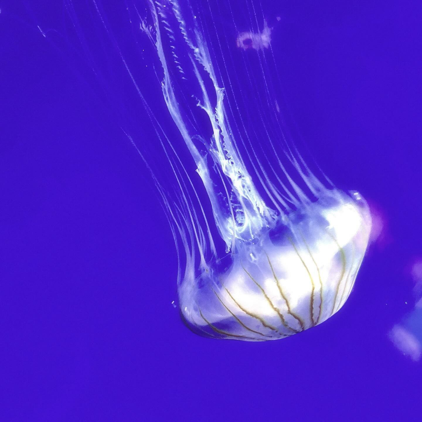 倶楽部 綺麗離日記1200918