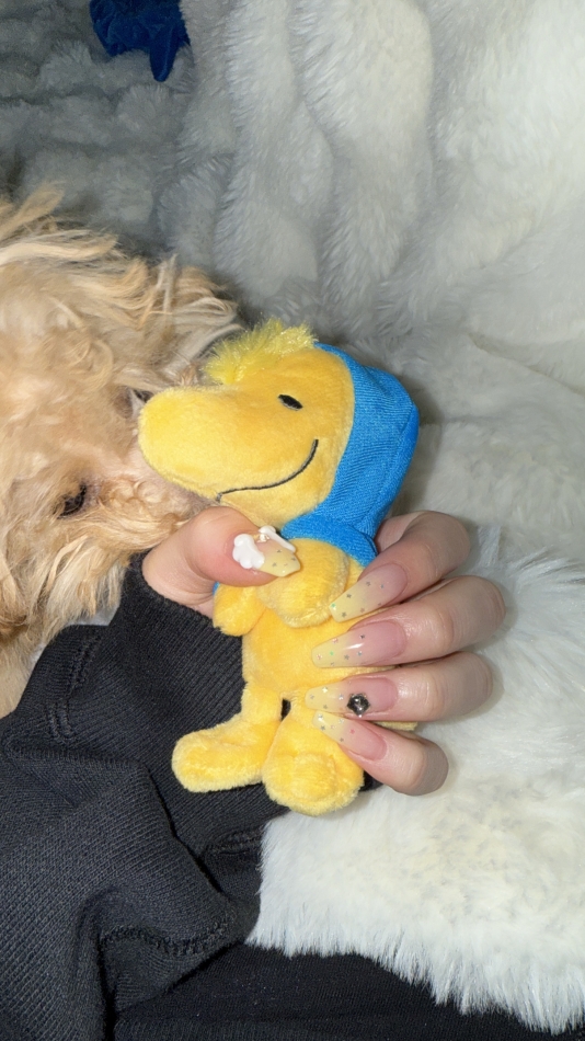 BRILLAR日記1629183