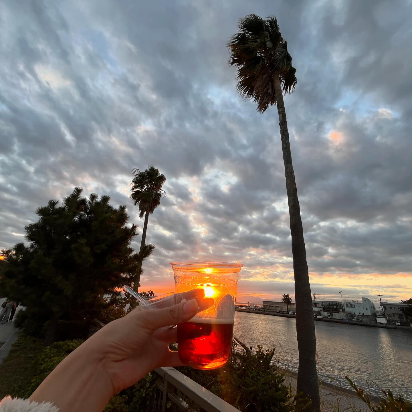 🍻江ノ島ビール🍻

江ノ島ビールと海と夕陽✌️🍻

今日から3日間ハロウィンコスプレイベントです！！🎃🎃🎃
女の子みんな可愛いから遊びにきてねえ！！！🤤💖

今日はあれやるかも🍻

#ビール
#江ノ島
#鎌倉
#志木
#キャバ嬢