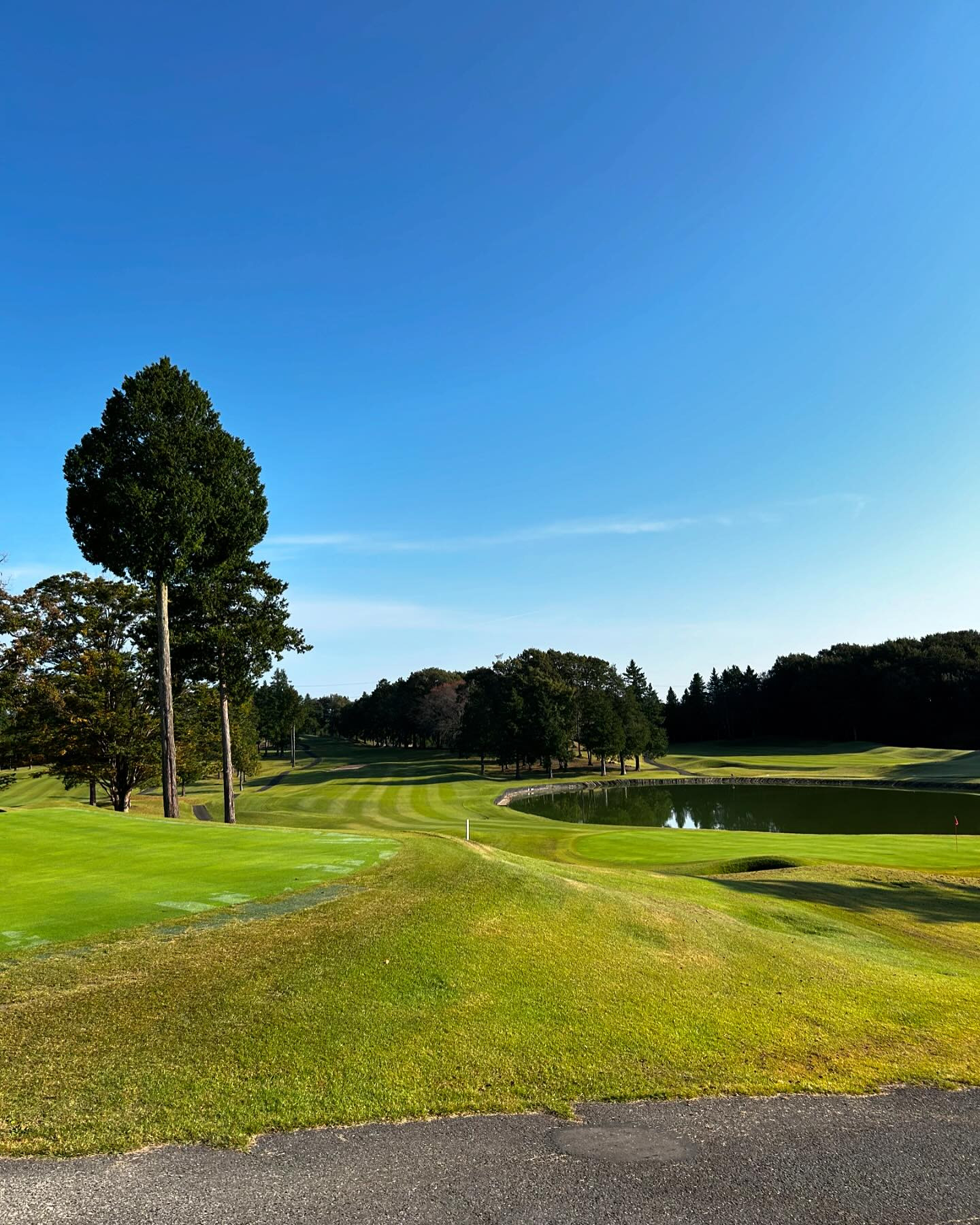 YOASOBI EAST ホットニュース 125282