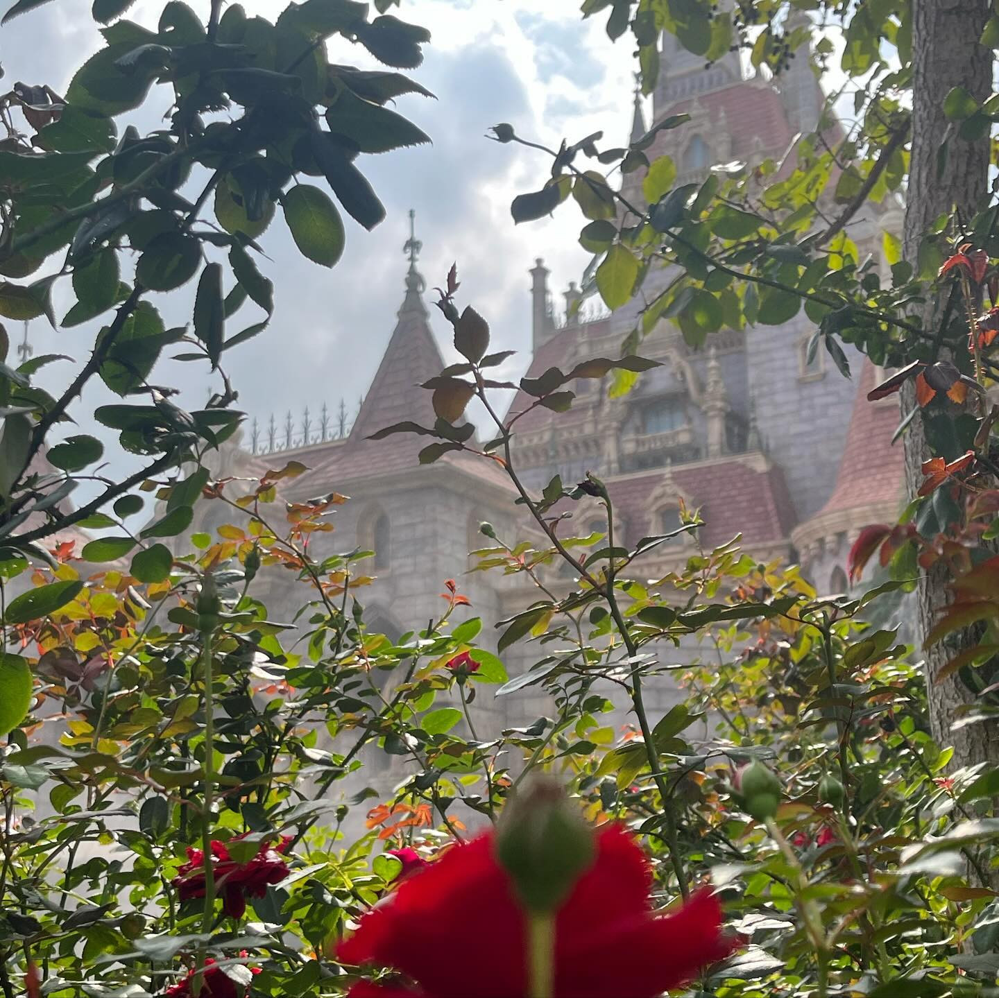 club Regulus日記1208194