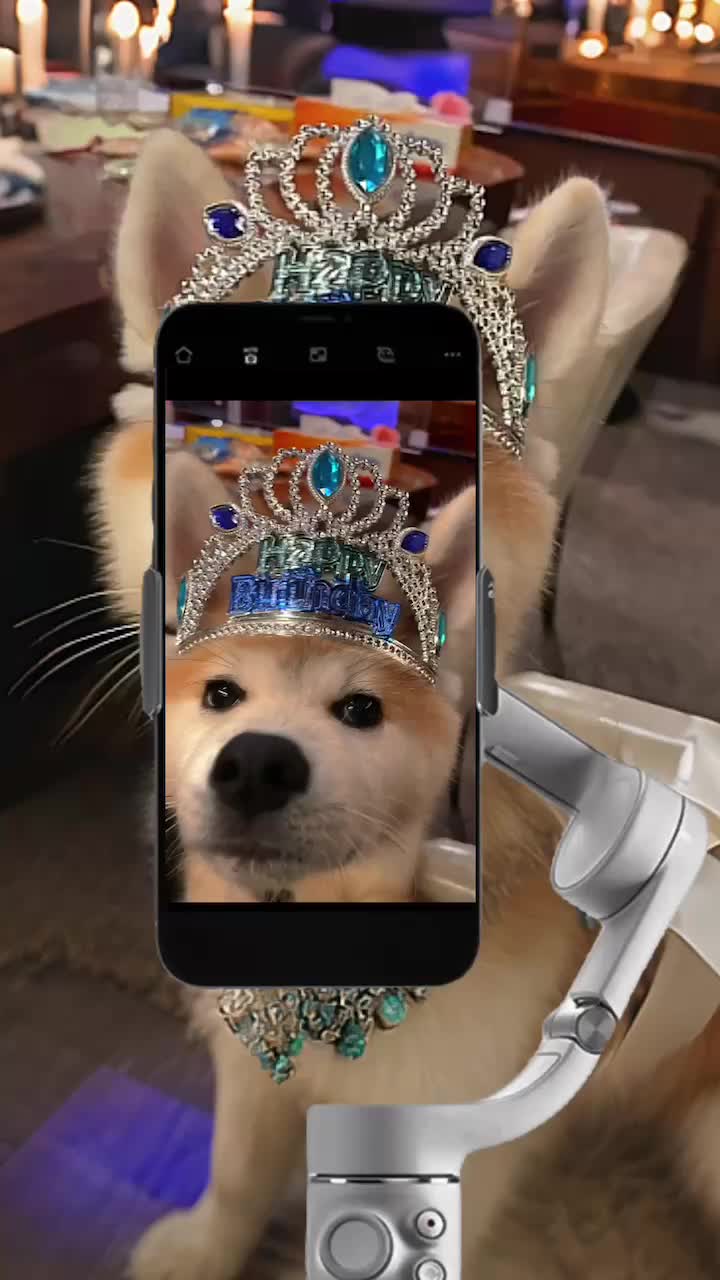 lounge Remika ホットニュース 126668