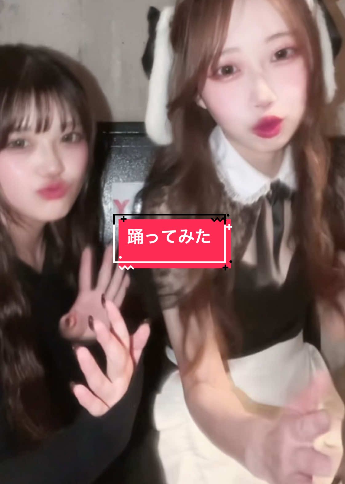 Cafe&Bar Lip Cream ホットニュース 130392