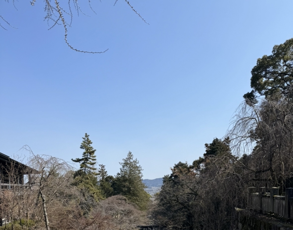 みゆ