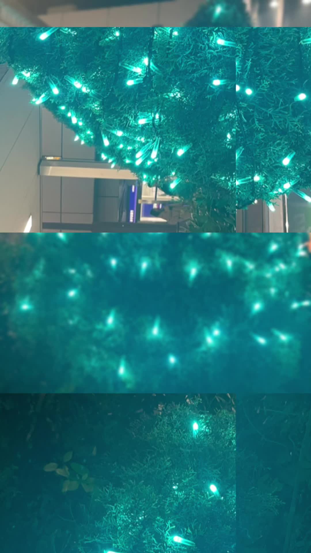 M's ホットニュース 132192