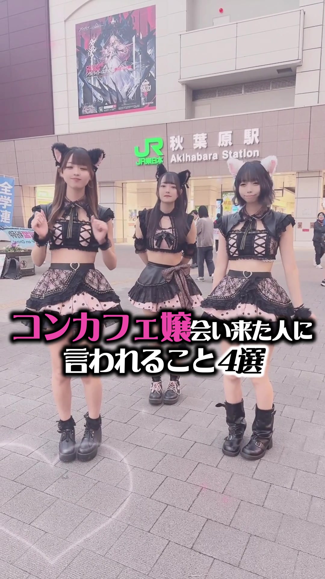 Cafe&Bar ゔぃらねすアカデミア ホットニュース 132469