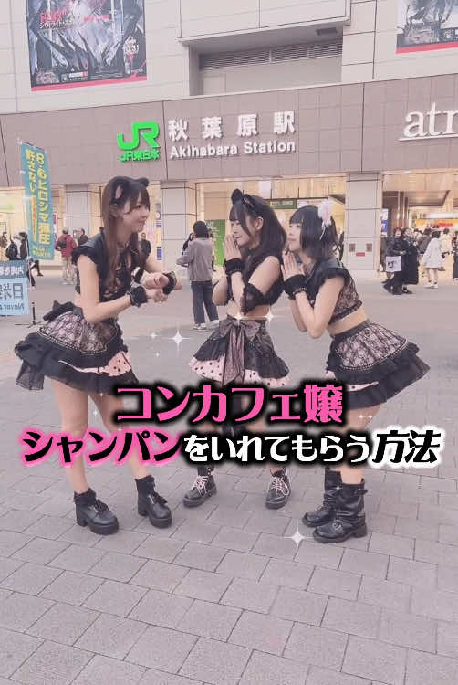 Cafe&Bar ゔぃらねすアカデミア ホットニュース 134479