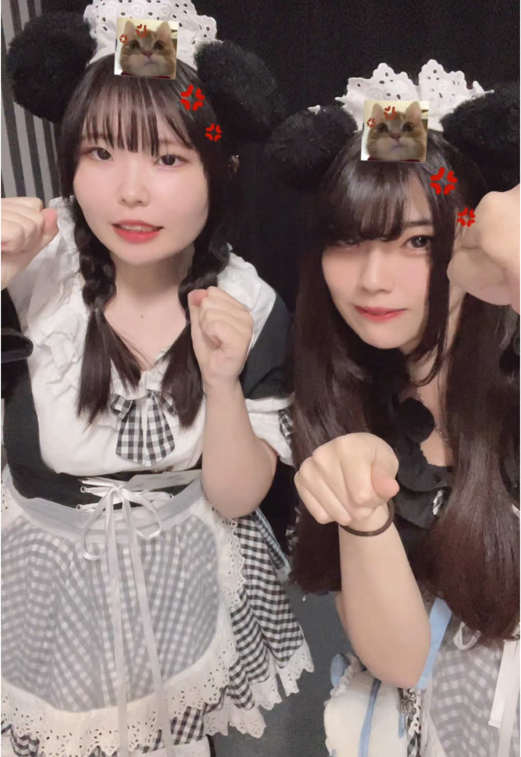 メイドカフェRA ぱんだぱすぽーと ホットニュース 134639