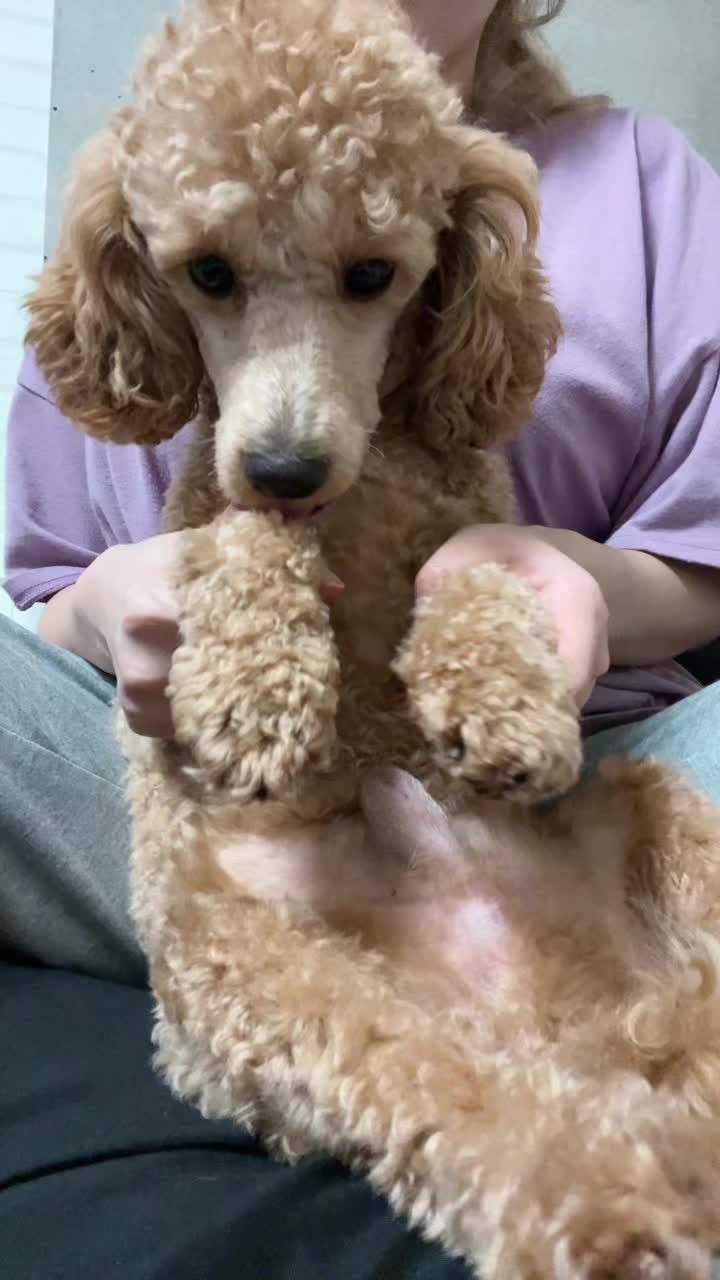 ちんぽこぽこ太郎 大きくなりました只今1歳5ヶ月べいびー