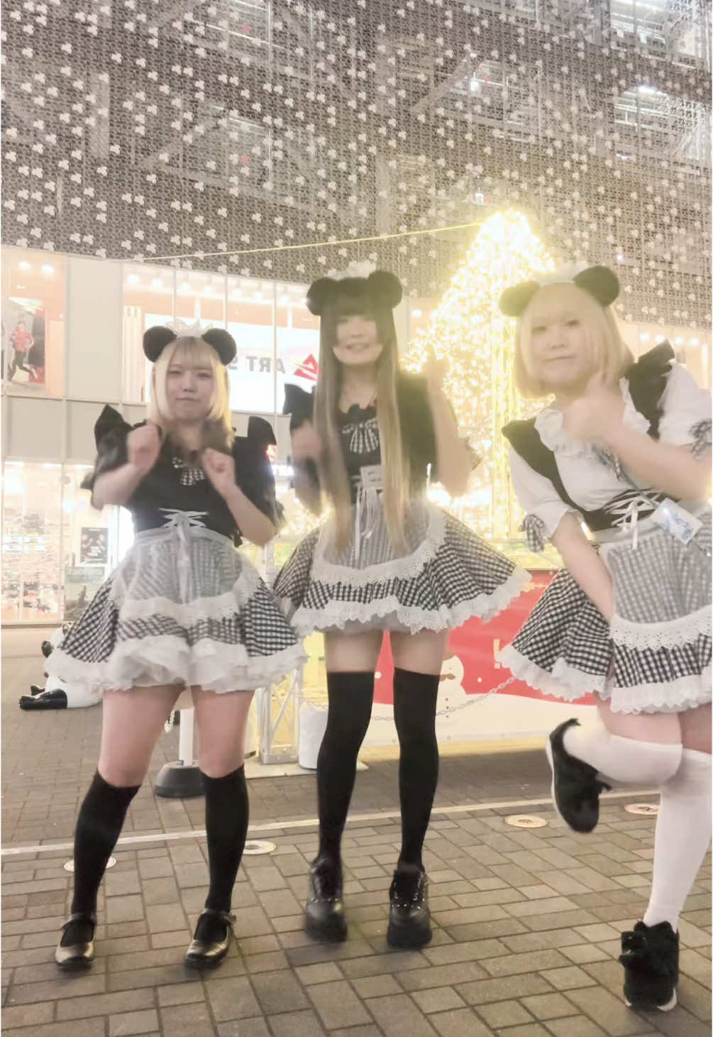 メイドカフェRA ぱんだぱすぽーと ホットニュース 138030