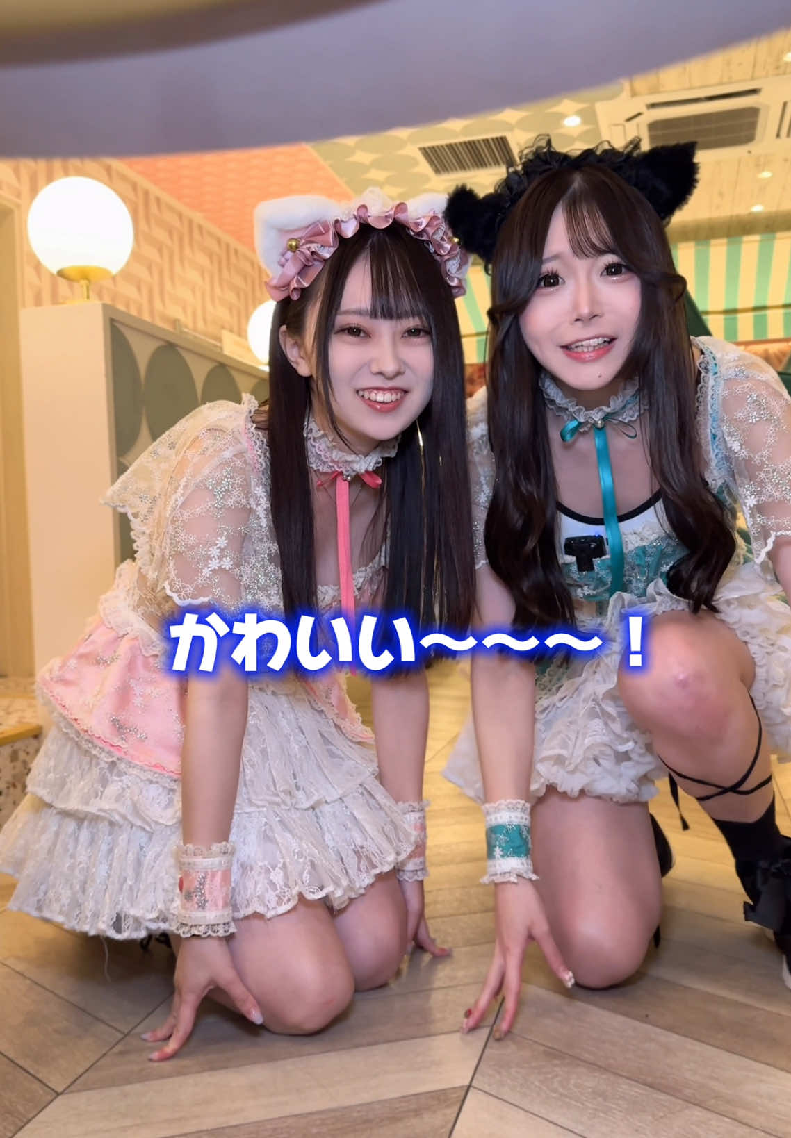 Cafe&Bar コンカフェランド ホットニュース 139317