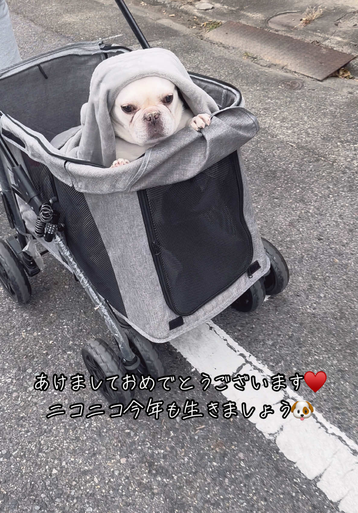 Bar Lounge RUNRUN ホットニュース 143127