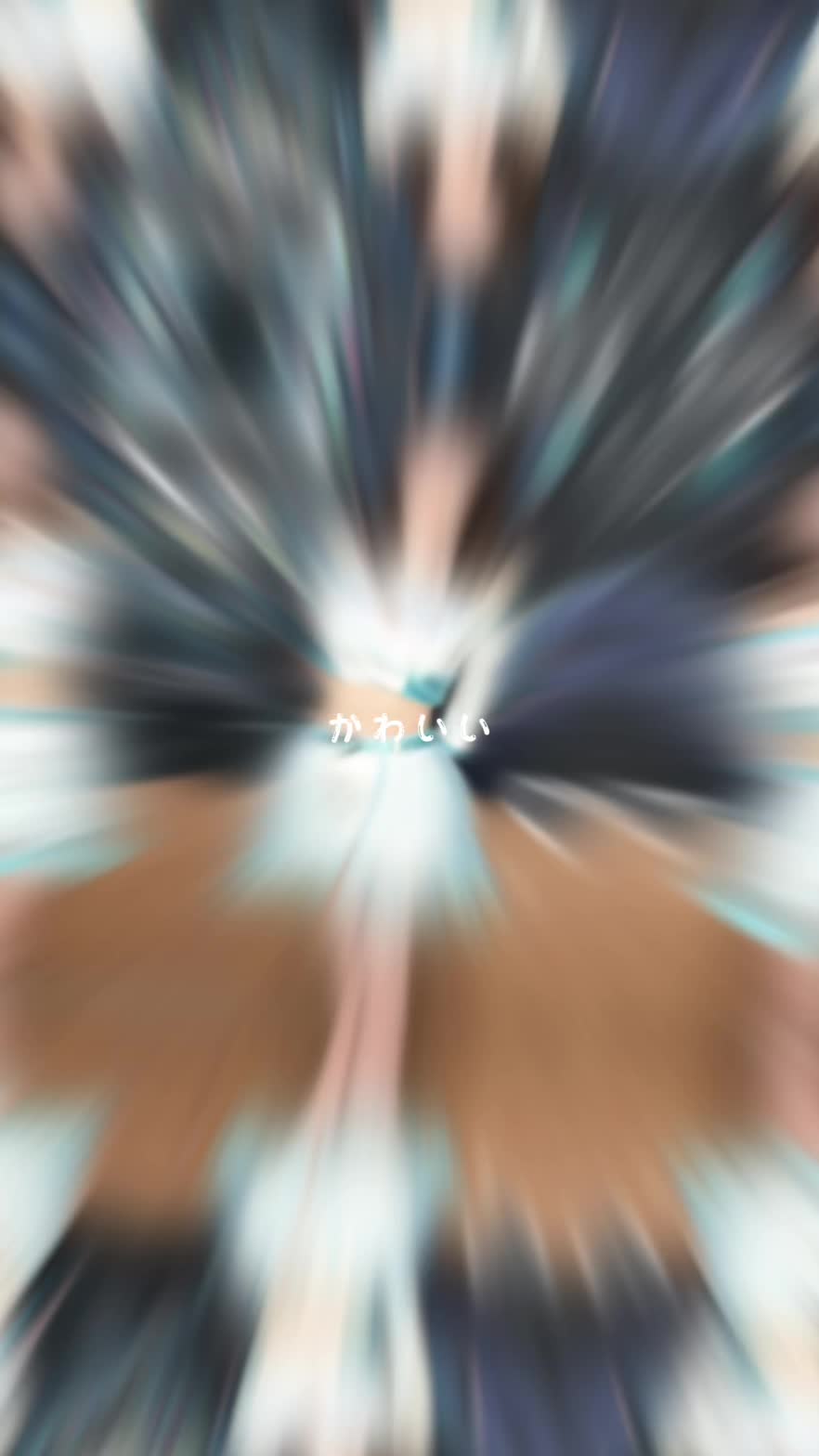 Velfarre ホットニュース 144345