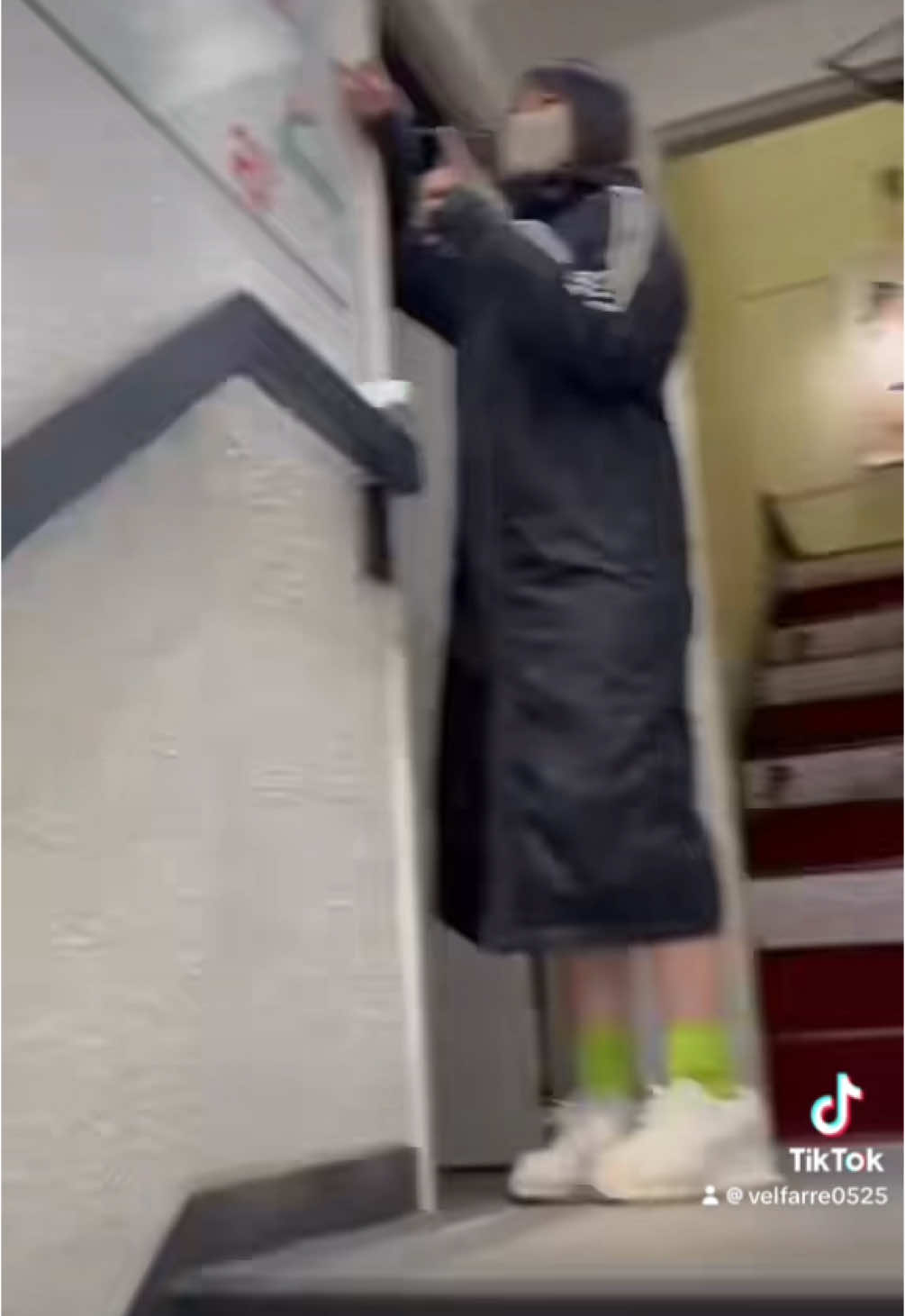 Velfarre ホットニュース 144725