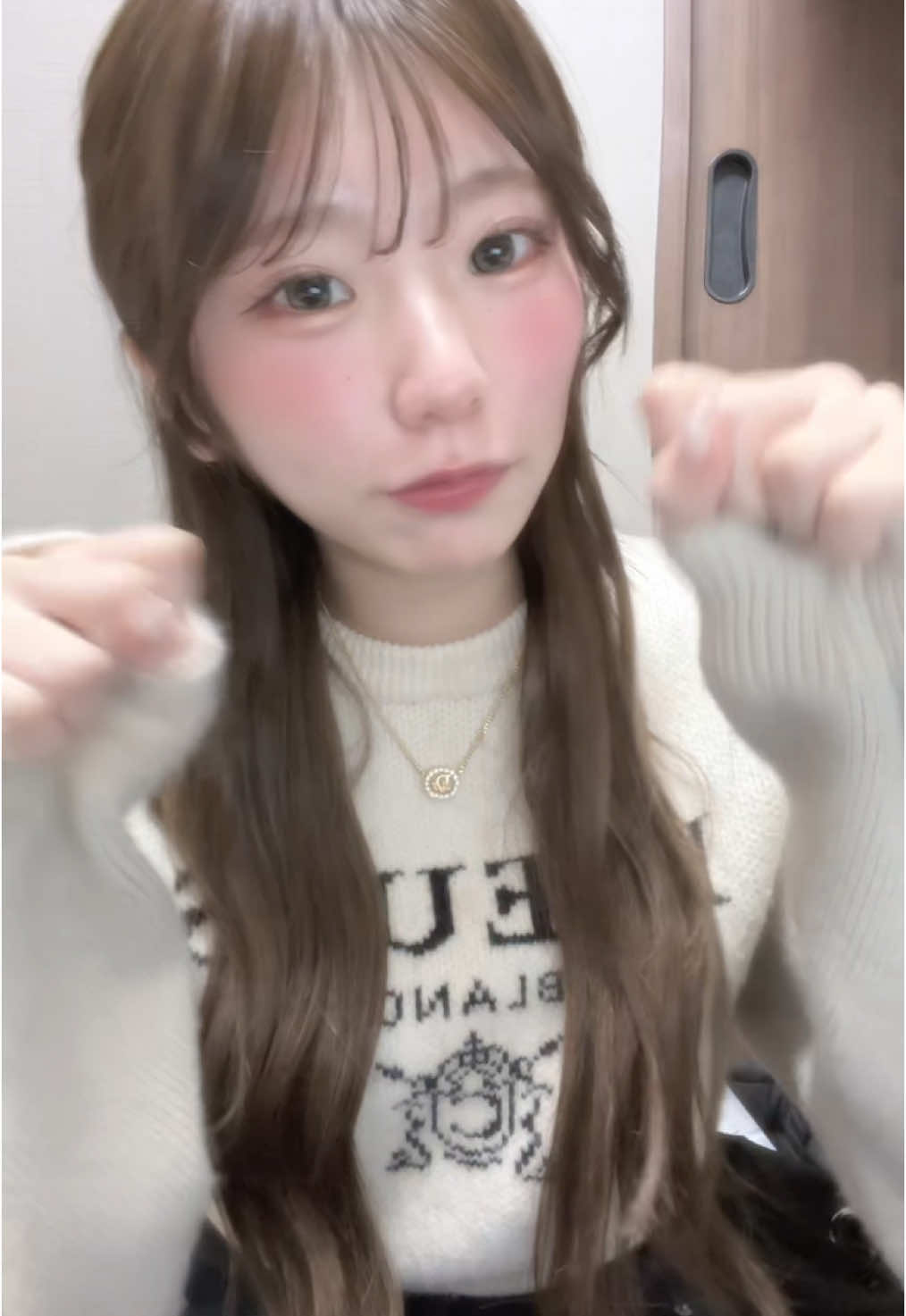 V-niigata-日記1271041