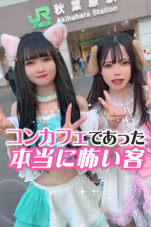 CAFE＆BAR キミの彼女になりたい！ ホットニュース 148287