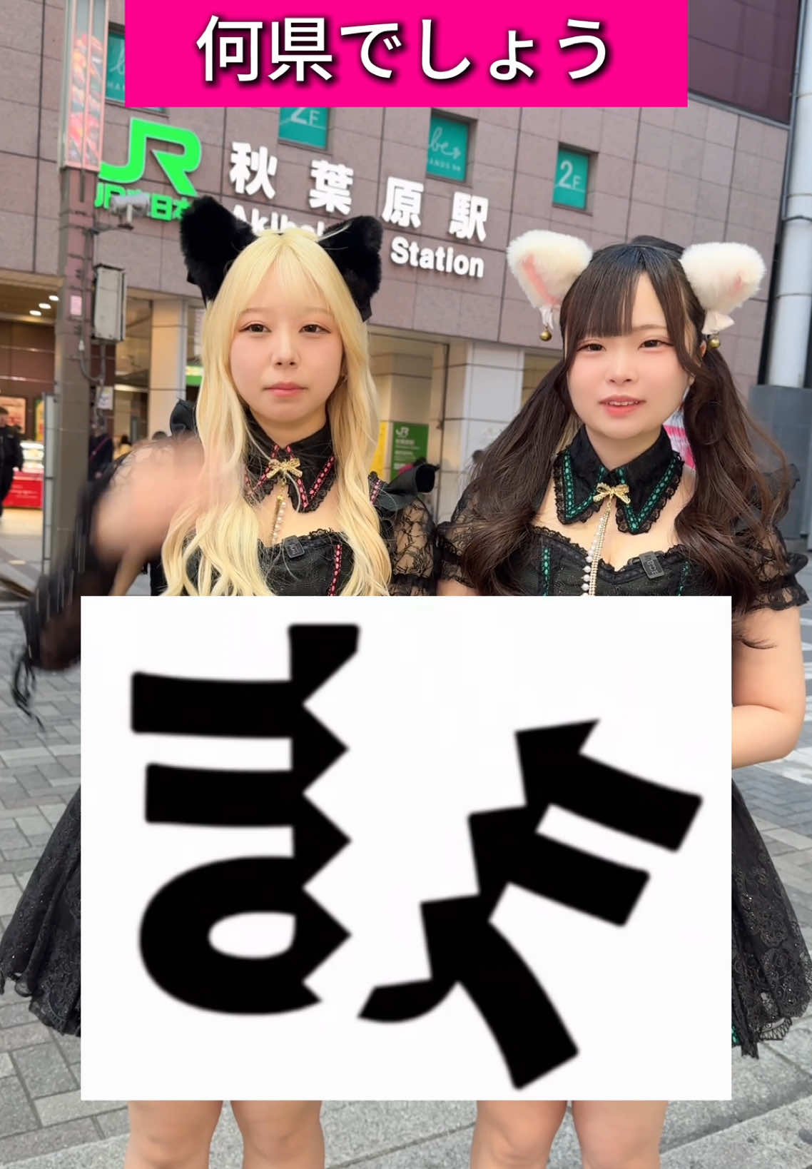 Cafe&Bar コンカフェランド ホットニュース 148302