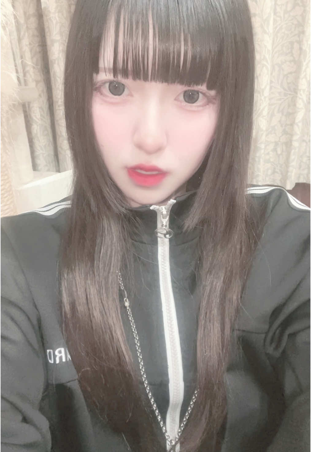 いぬにしてください #ftpシ #fyp #おすすめ #コンカフェ嬢 #会える屋さん #コンカフェ