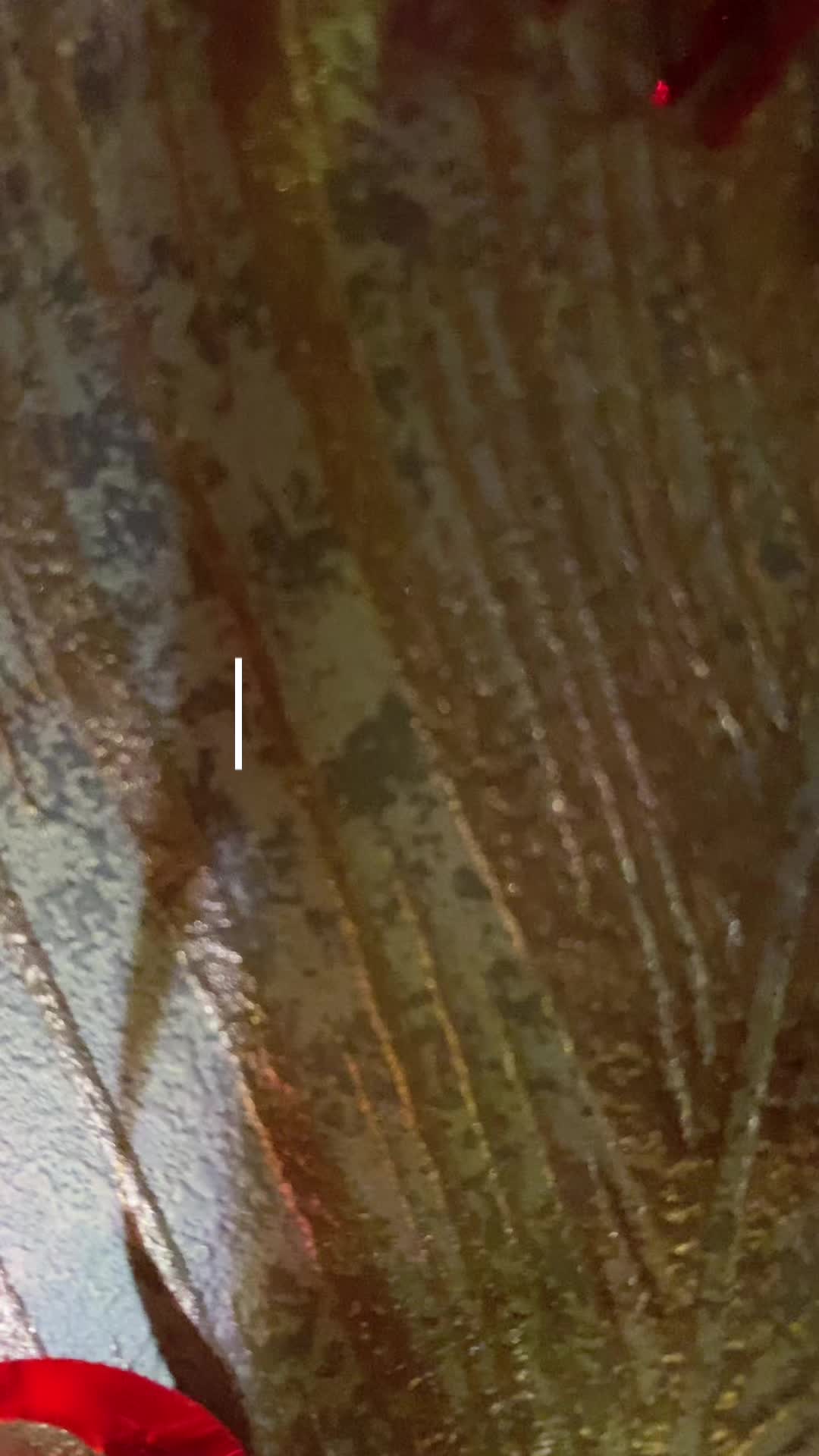 M's ホットニュース 150494