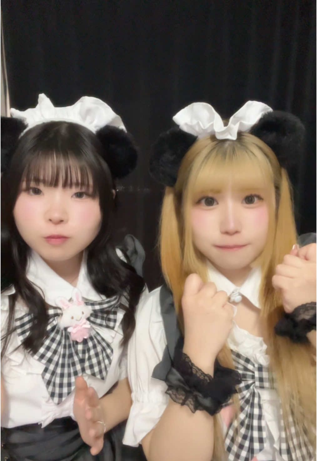 メイドカフェRA ぱんだぱすぽーと ホットニュース 153087